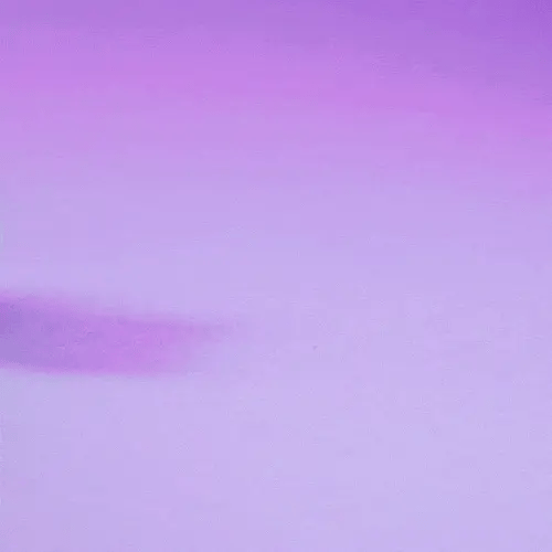 Articulated |Croc the Flexi Crocodile | Desk Toys | Stress Reliever