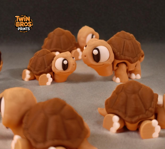 Articulated | Twix the Tortoise | Fidget | Collectable